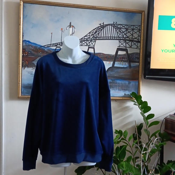 Nichole Miller Sweaters - Nicole Miller NY Blue Velour Sweater XL